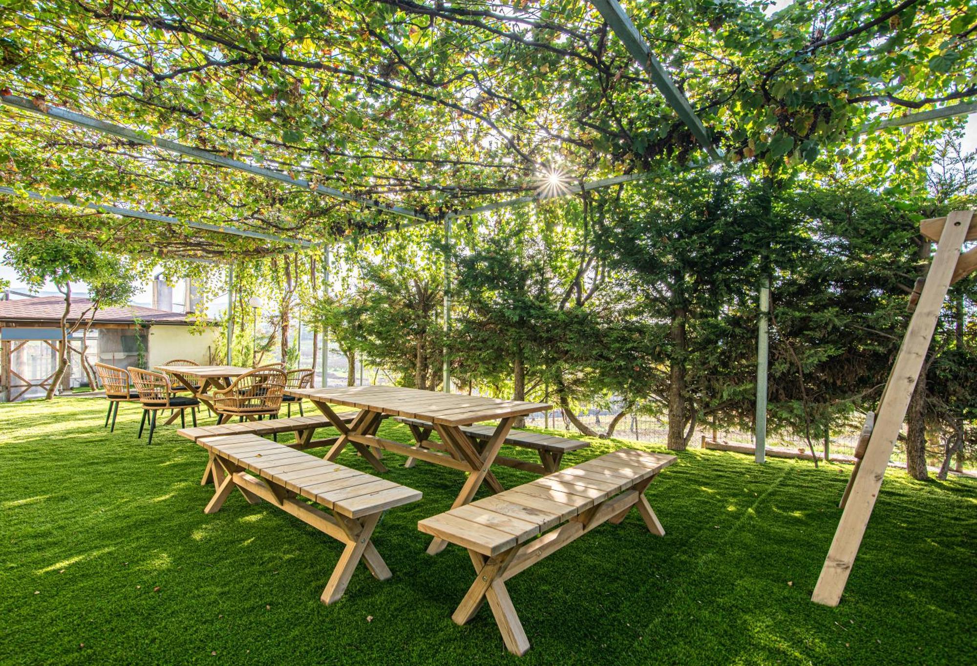 Iviskos Apartment Oinofyta Εξωτερικό φωτογραφία